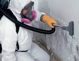 Best HVAC Mold Inspection and Cleaning  in Iyanbito, NM